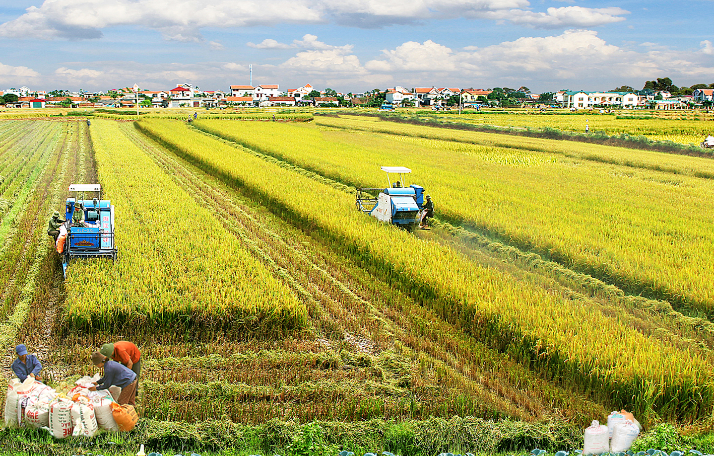 Đầu tư cho nông nghiệp, nông thôn để trở thành nền nông nghiệp xanh và bền vững (21/02/2018)